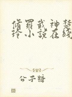 修罗武神楚枫紫玲小说在线阅读全文免费封面