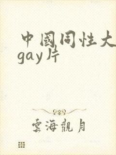 中国同性大尺度gay片