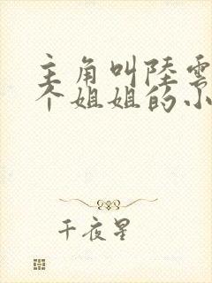 主角叫陆云有七个姐姐的小说