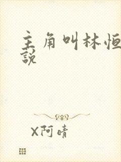 主角叫林恒的小说