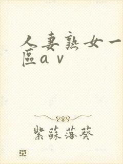 人妻熟女一区二区aⅴ