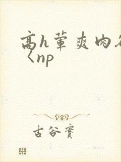高h荤爽肉欲文〈np