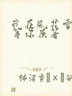 我在风花雪月里等你原著
