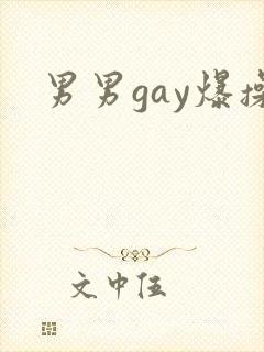 男男gay爆操
