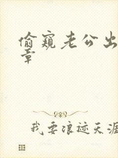 偷窥老公出轨第章封面