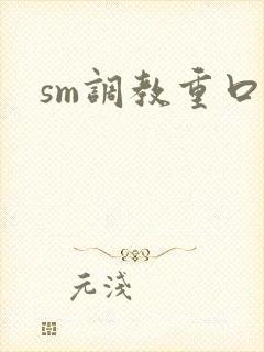 sm调教重口文