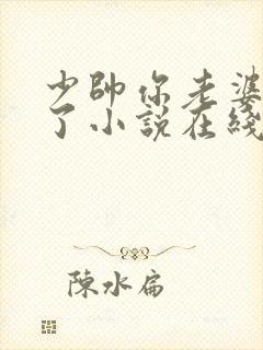 少帅你老婆又跑了小说在线阅读