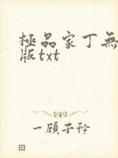 极品家丁无删减版txt