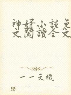 神婿小说免费全文阅读全文