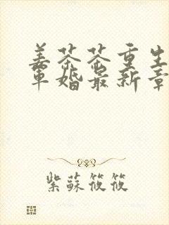 姜茶茶重生知青军婚最新章节