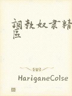 调教奴隶精品一区