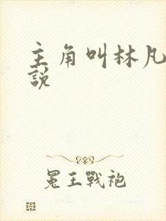 主角叫林凡的小说