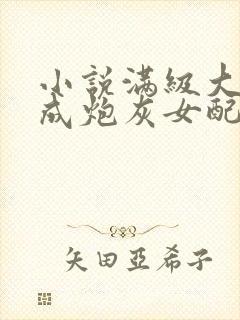 小说满级大佬穿成炮灰女配