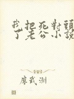 我把死对头养成了老公小说封面