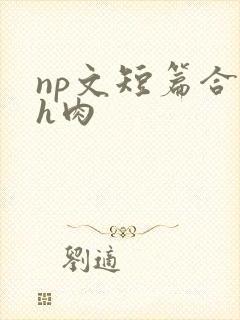 np文短篇合集h肉