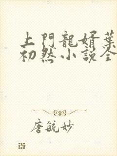 上门龙婿叶辰萧初然小说全文阅读