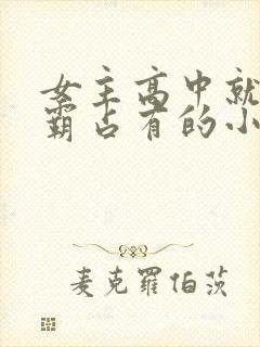 女主高中就被校霸占有的小说推荐封面