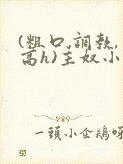 (粗口,调教,高h)主奴小说