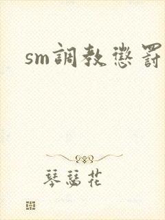 sm调教惩罚文封面