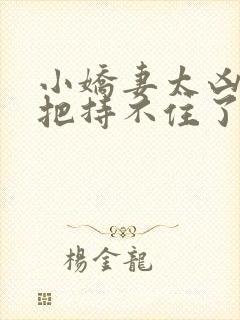 小娇妻太凶陆爷把持不住了