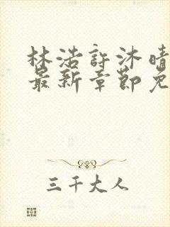 林浩许沐晴小说最新章节免费阅读全文