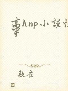高hnp小说快穿