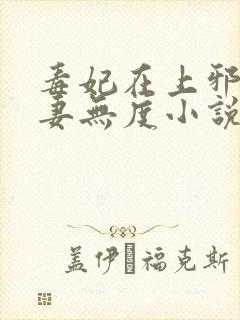 毒妃在上邪王宠妻无度小说