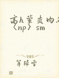 高h荤爽肉欲文〈np〉sm