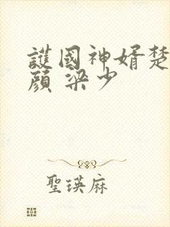 护国神婿楚尘宋颜 梁少封面