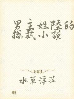 男主姓陆的豪门总裁小说