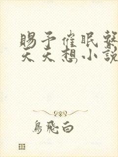 赐予催眠系统后天天想小说