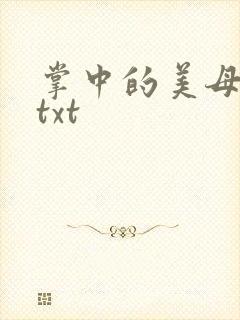 掌中的美母版主txt