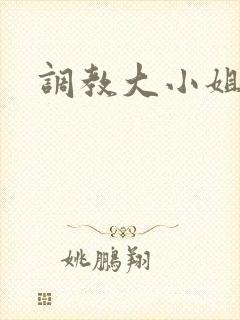 调教大小姐小说封面