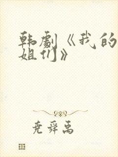 韩剧《我的好姐姐们》