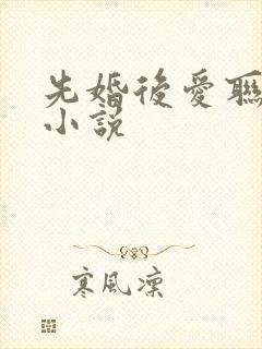 先婚后爱联姻的小说