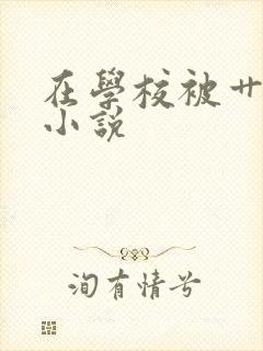 在学校被艹哭的小说