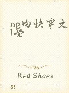 np肉快穿文bl受