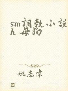 sm调教小说高h 母狗封面
