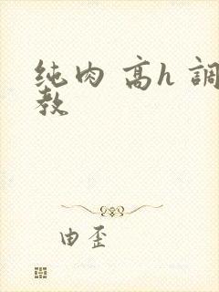 纯肉 高h 调教