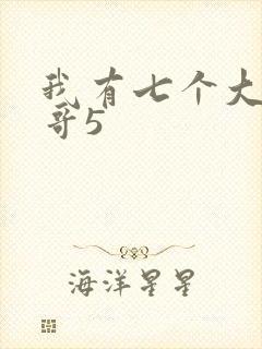 我有七个大佬哥哥5