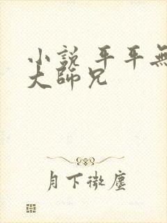 小说 平平无奇大师兄