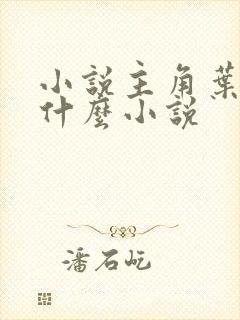 小说主角叶尘是什么小说封面