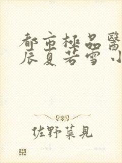 都市极品医神叶辰夏若雪 小说