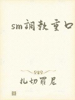 sm调教重口文