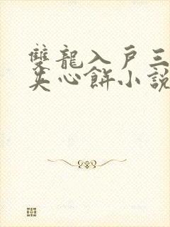 双龙入户三人行夹心饼小说