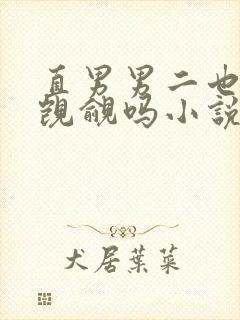 直男男二也要被觊觎吗小说全文免费阅读