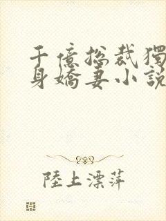 千亿总裁独宠替身娇妻小说txt下载封面