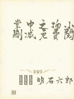 掌中之物小说无删减免费阅读全文