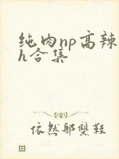 纯肉np高辣文h合集