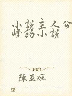 小说主人公叫林峰的小说